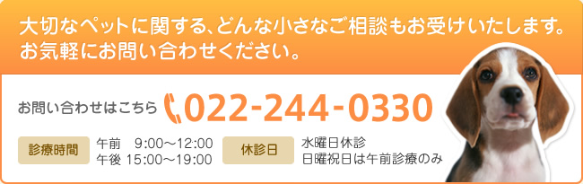 大切なペットに関する、どんな小さなご相談もお受けいたします。お気軽にお問い合わせください。お問い合わせはこちら 022-244-0330